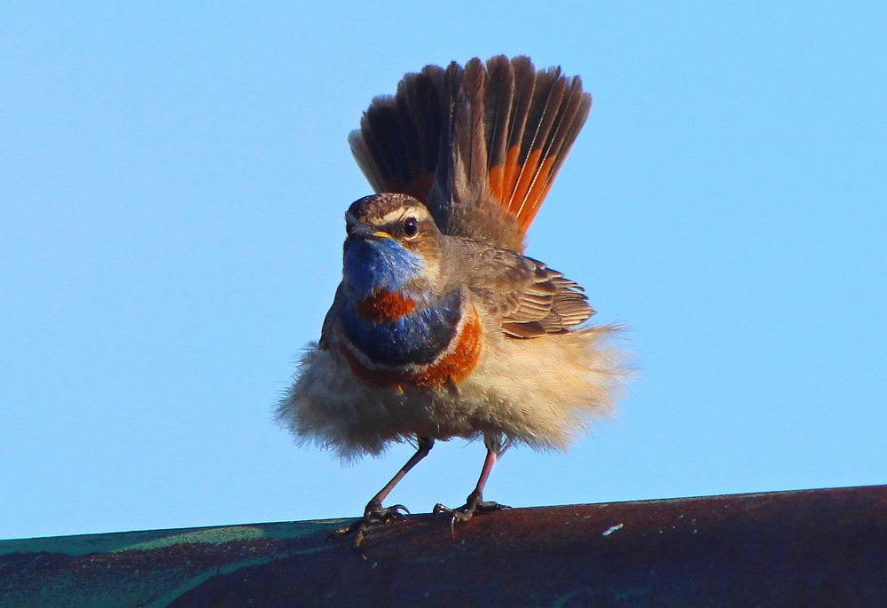 Photograph by Александр Велигура