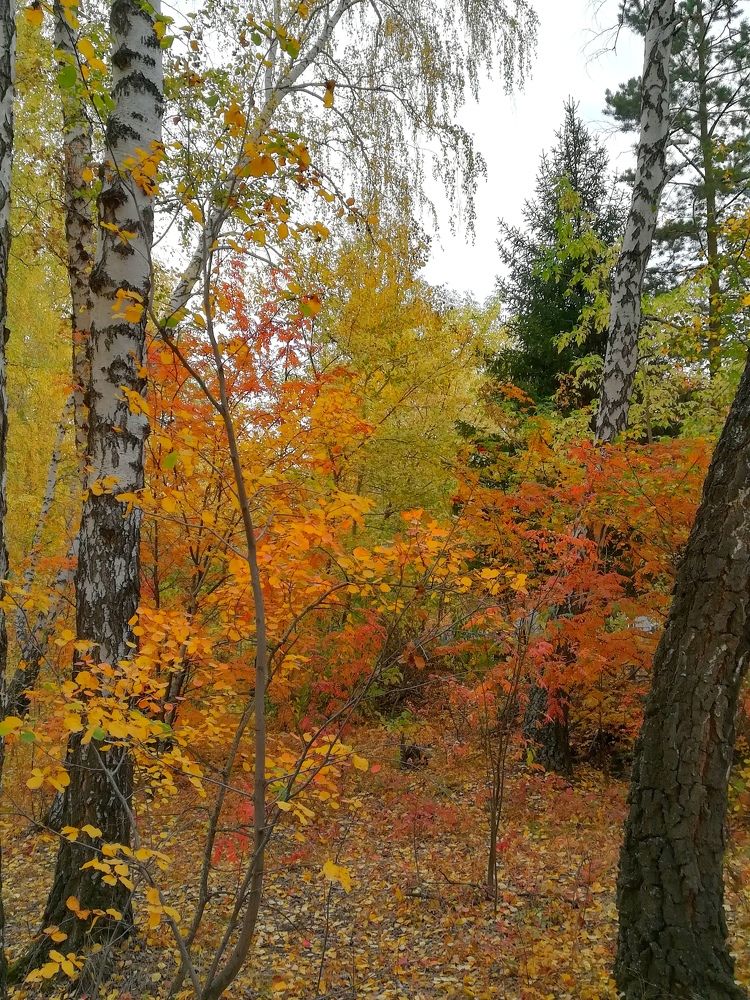 Photograph by Мария