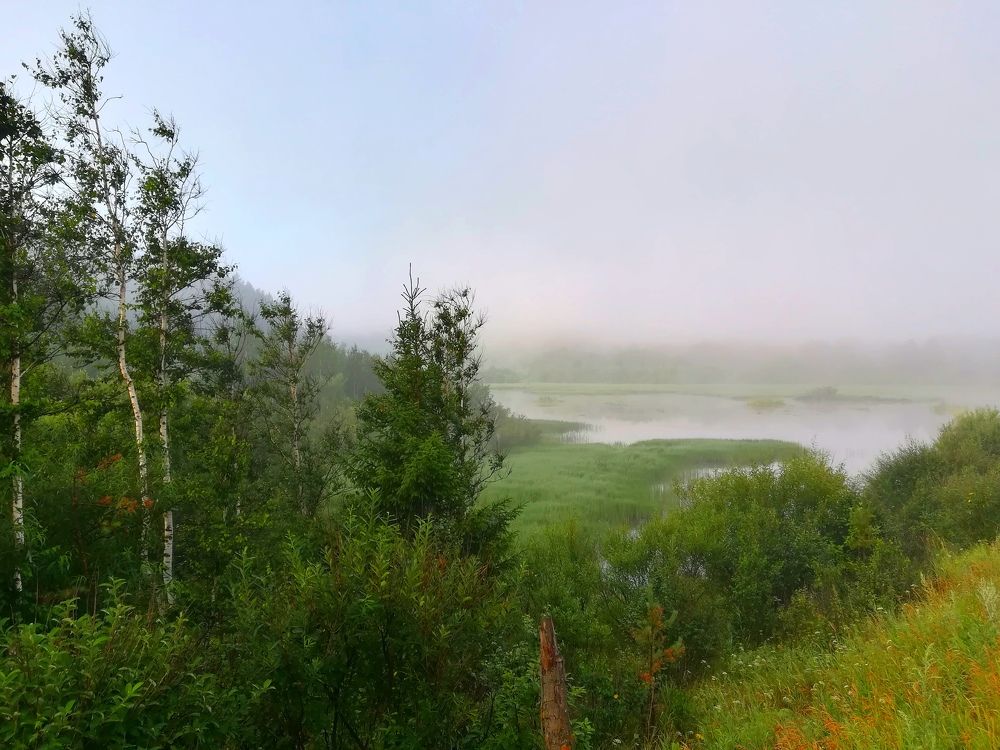 Photograph by Мария