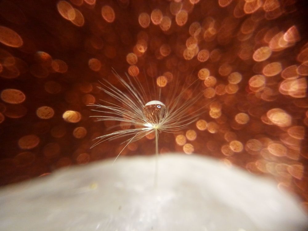 Photograph by Наталья Шумилова