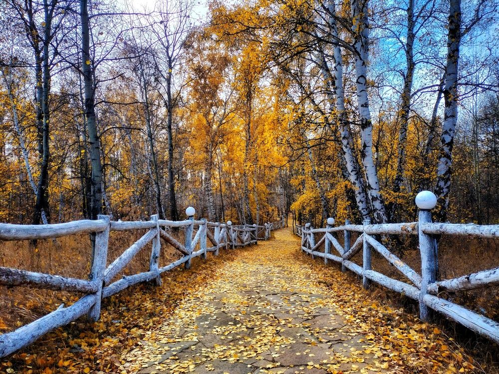 Фотография автора Марина Борисова