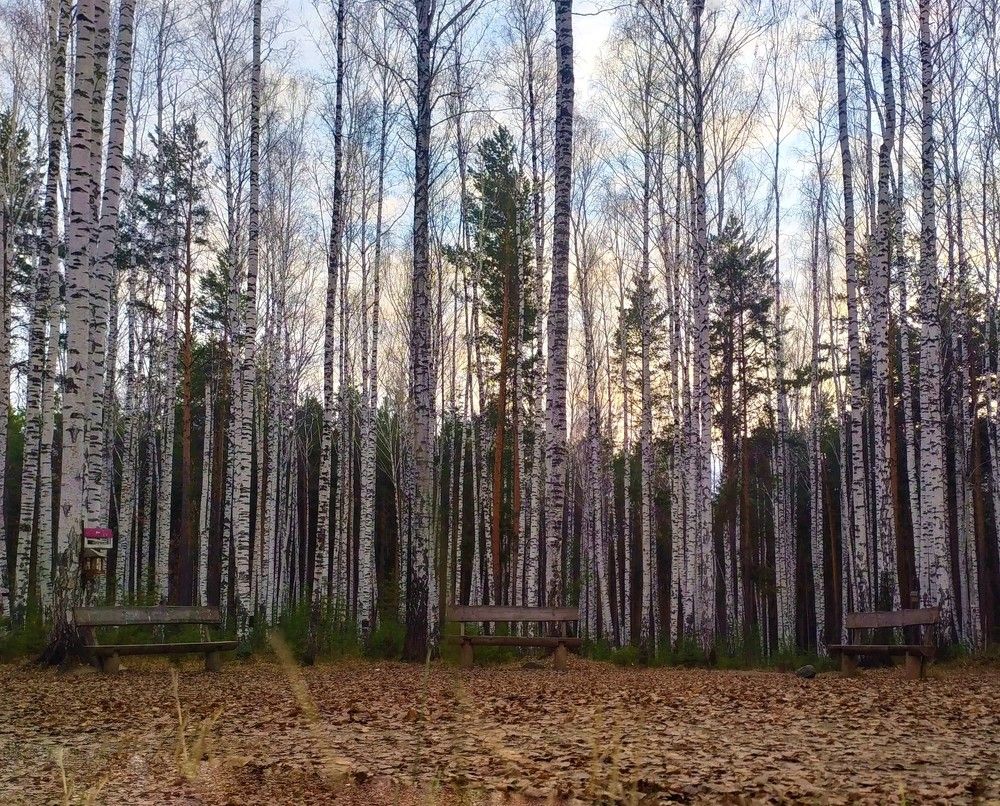 Photograph by Юлия Майкова