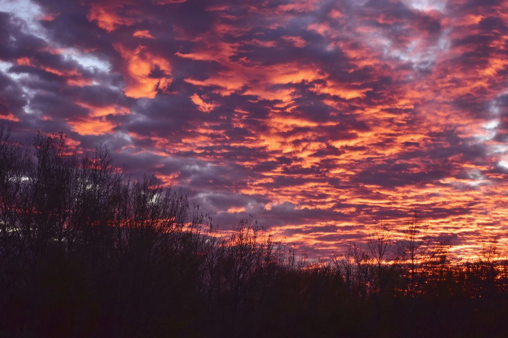 Photograph by Дарья Огородникова