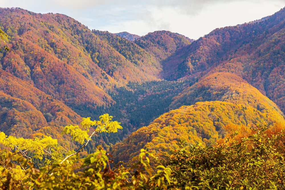 The Autumn Colors of Kurobe Alpine