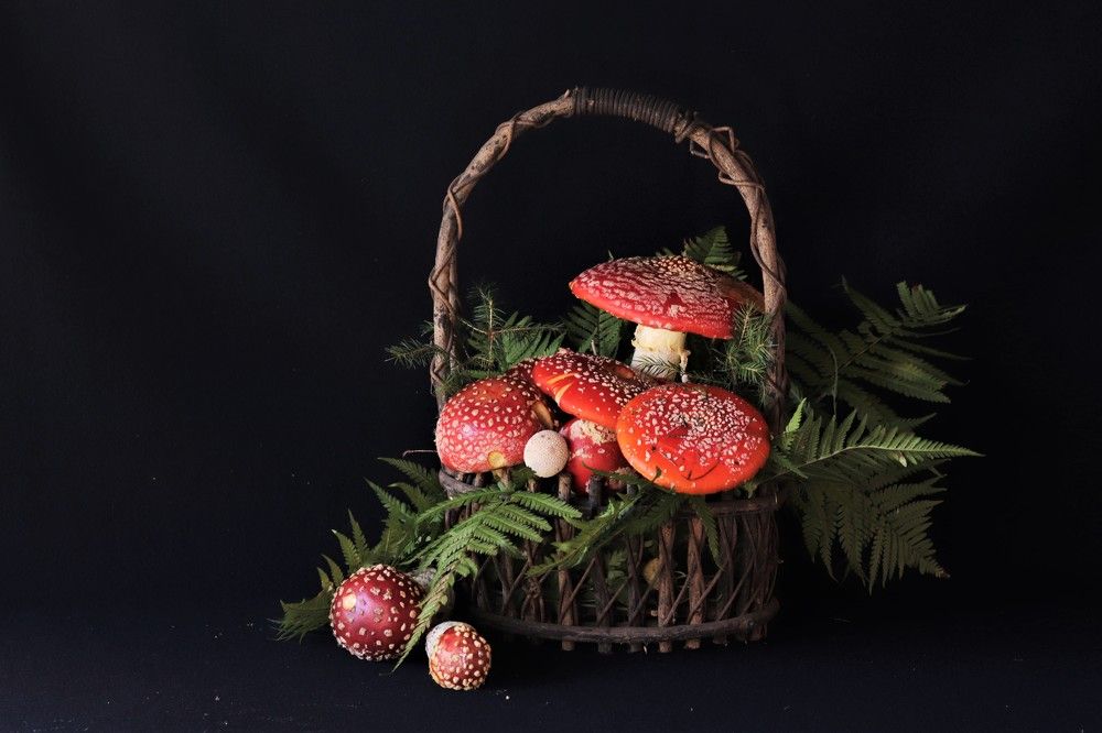 Photograph by Светлана Соколова