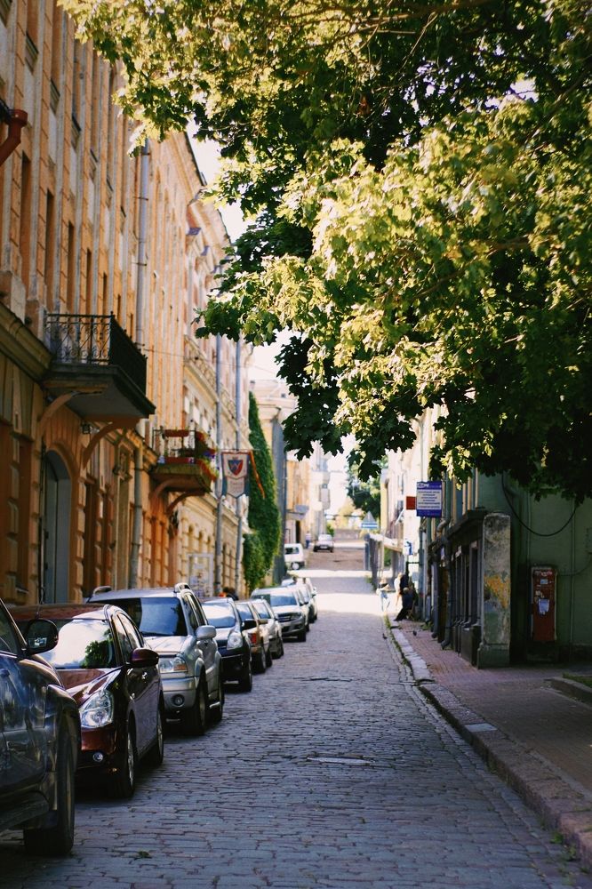 Photograph by Светлана Сафонова