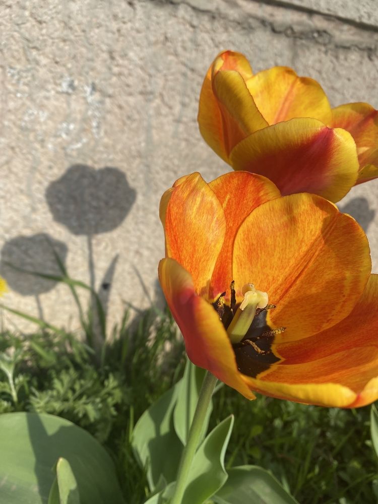 Photograph by Елена Гущина