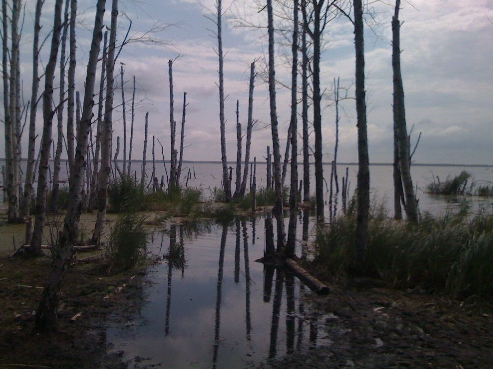 Photograph by Андрей Елькин