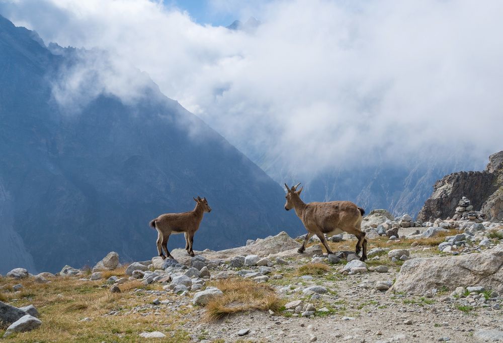 Photograph by Виктор Петров