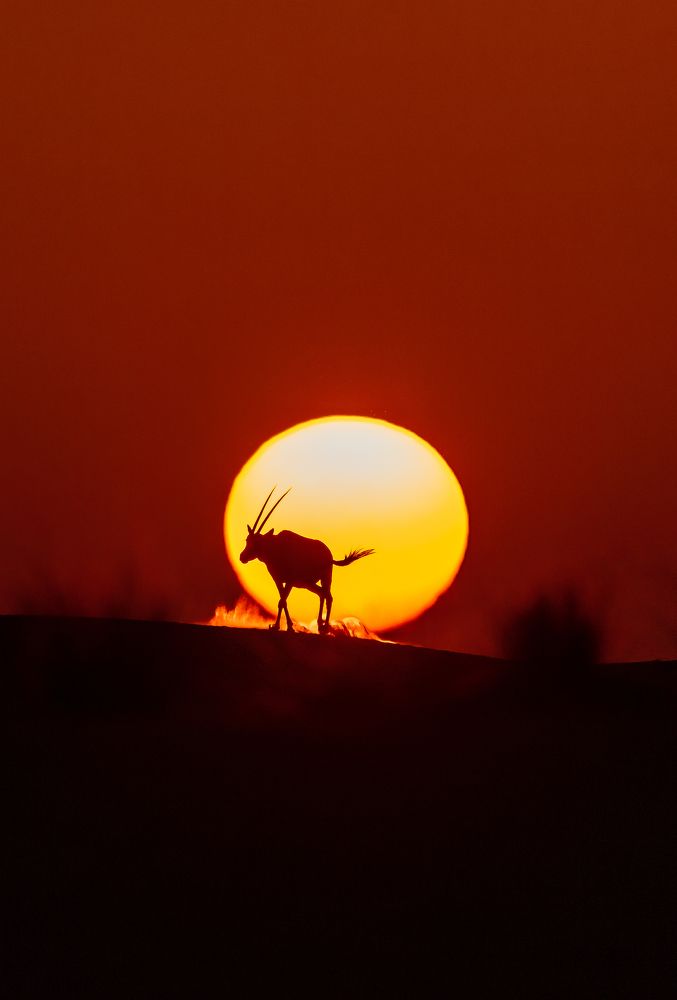 Photograph by Zubair Irshad