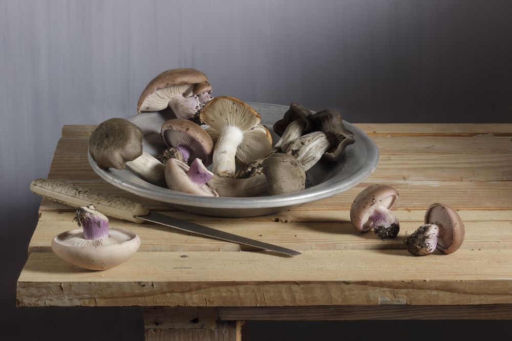 Photograph by Сергей Когда