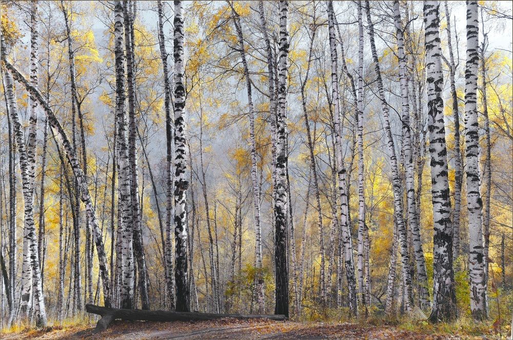 Photograph by Искандар Газизов