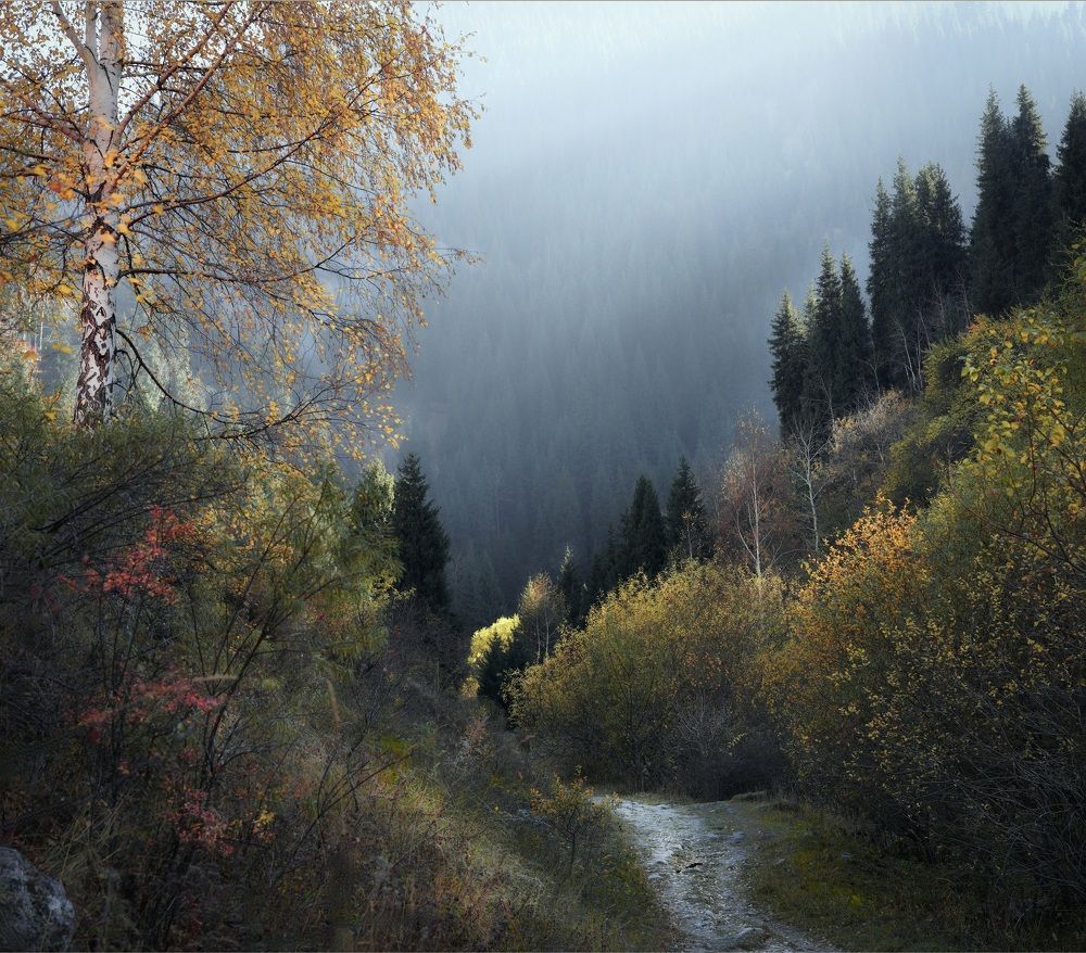 Photograph by Искандар Газизов