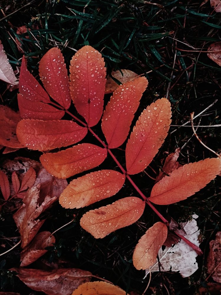 Фотография автора Татьяна Шахова