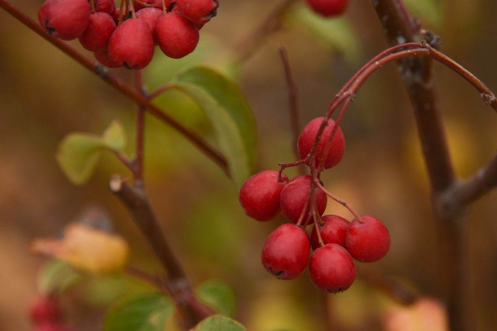 Photograph by Светлана Войта