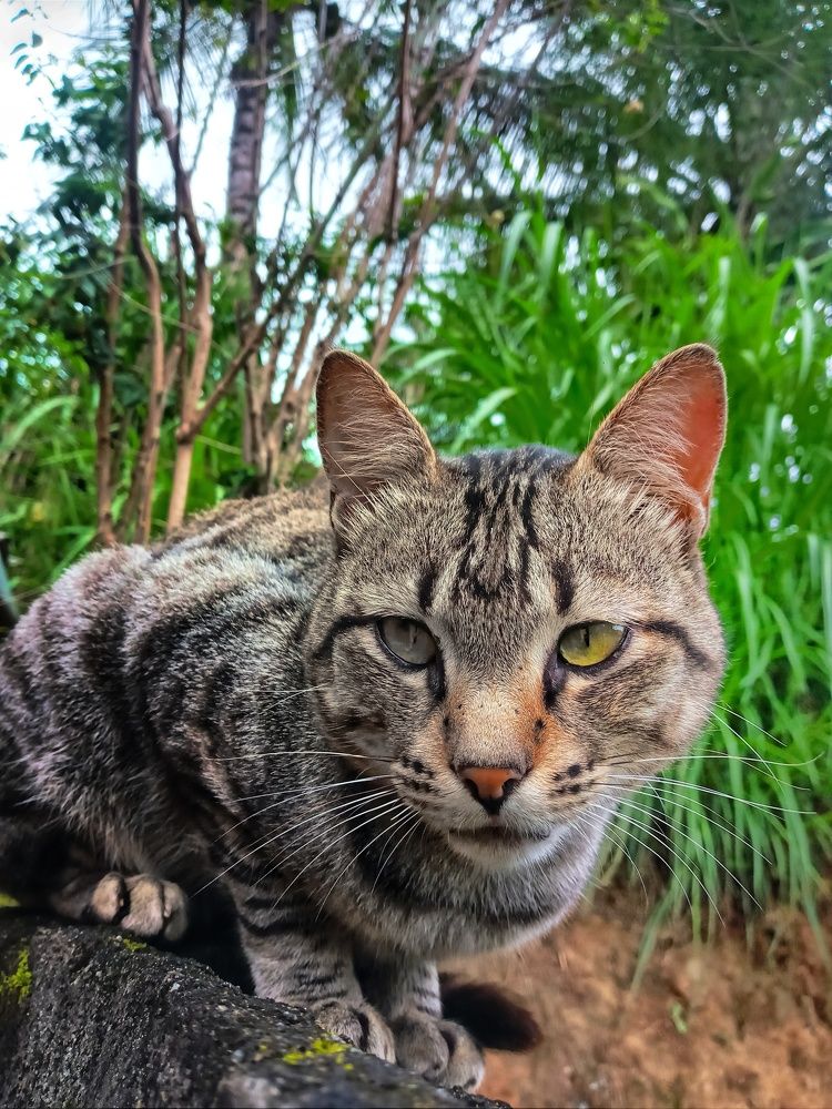 Photograph by kalaichelvam suganya