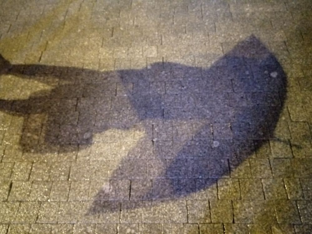 Photograph by Тимофей Петров