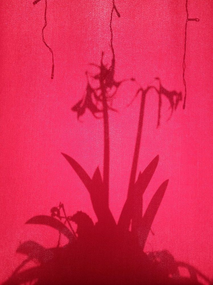 Photograph by Тимофей Петров