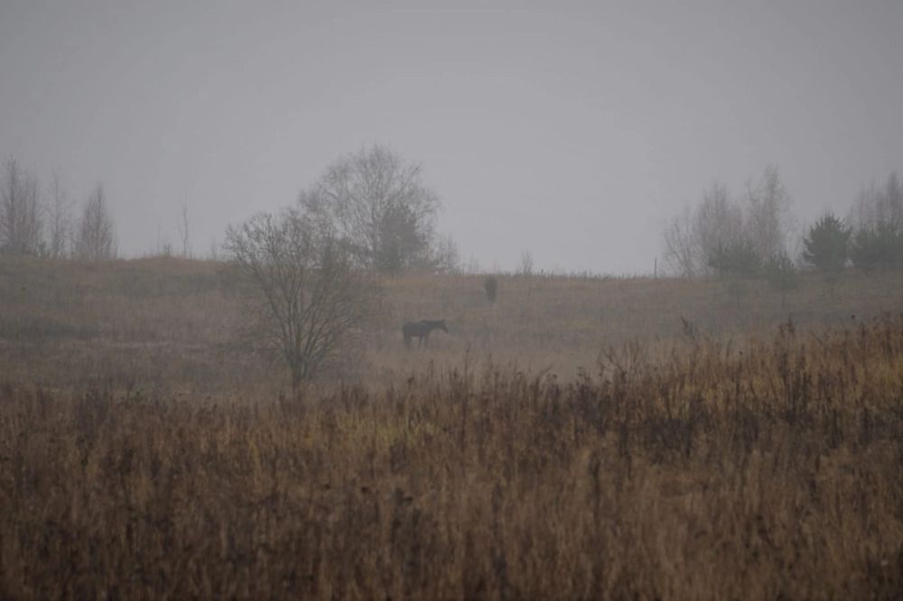 Photograph by Марина Безенкина