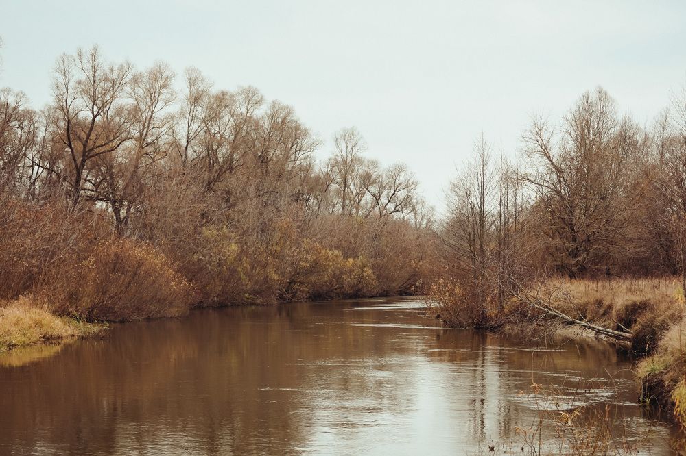 Photograph by Светлана Солдатченкова