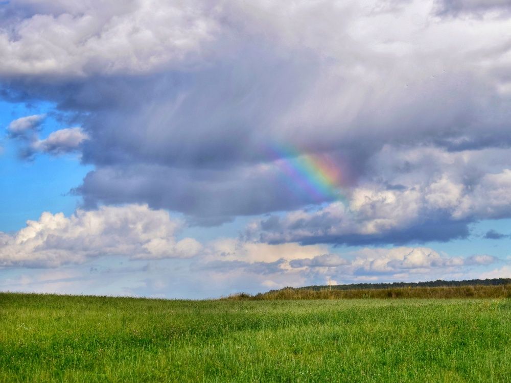 Photograph by Алеся Цеван