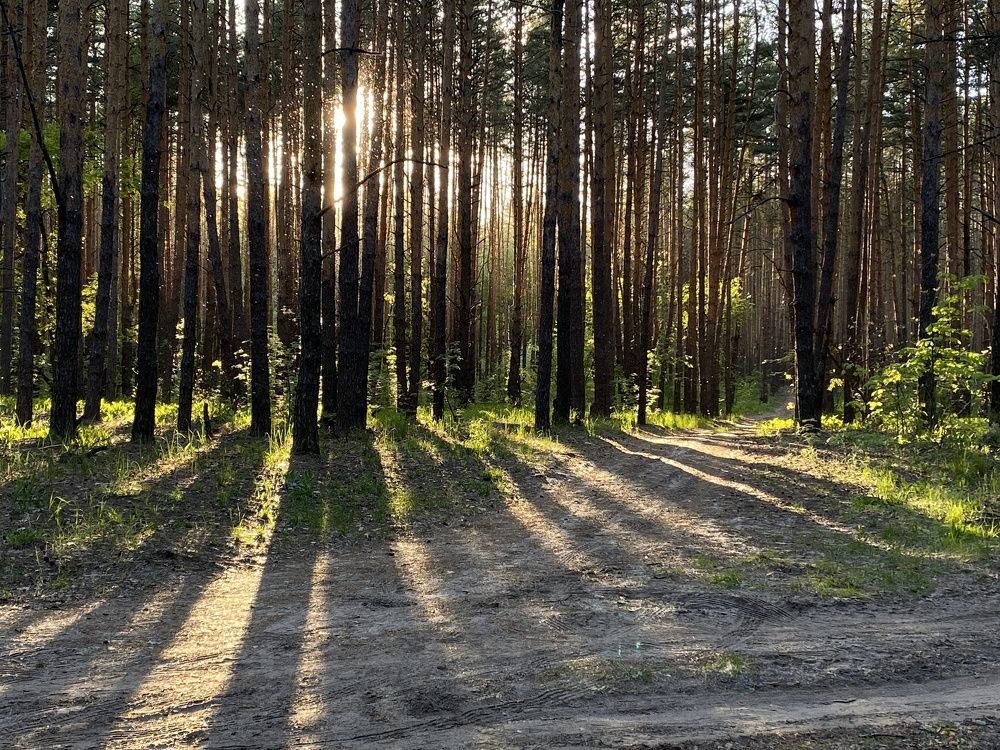 Photograph by Елена Гущина