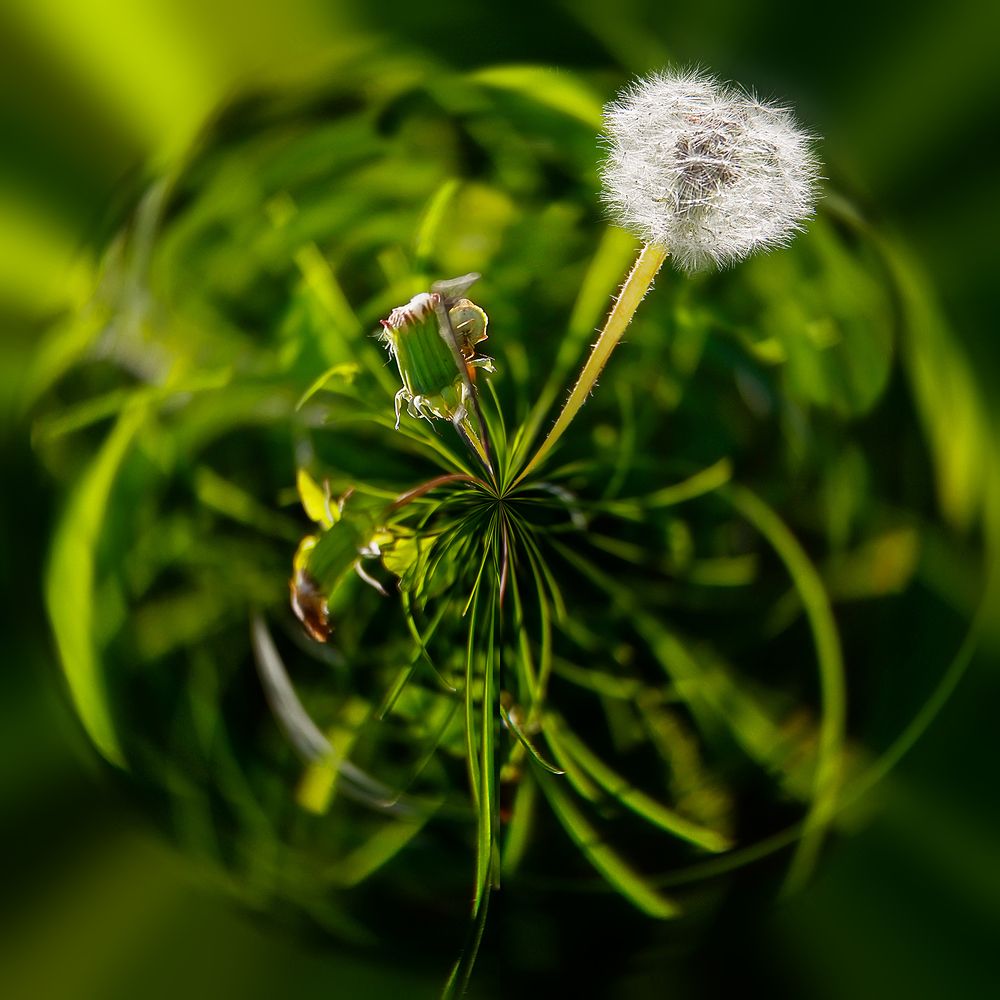 Photograph by Алексей Трифонов