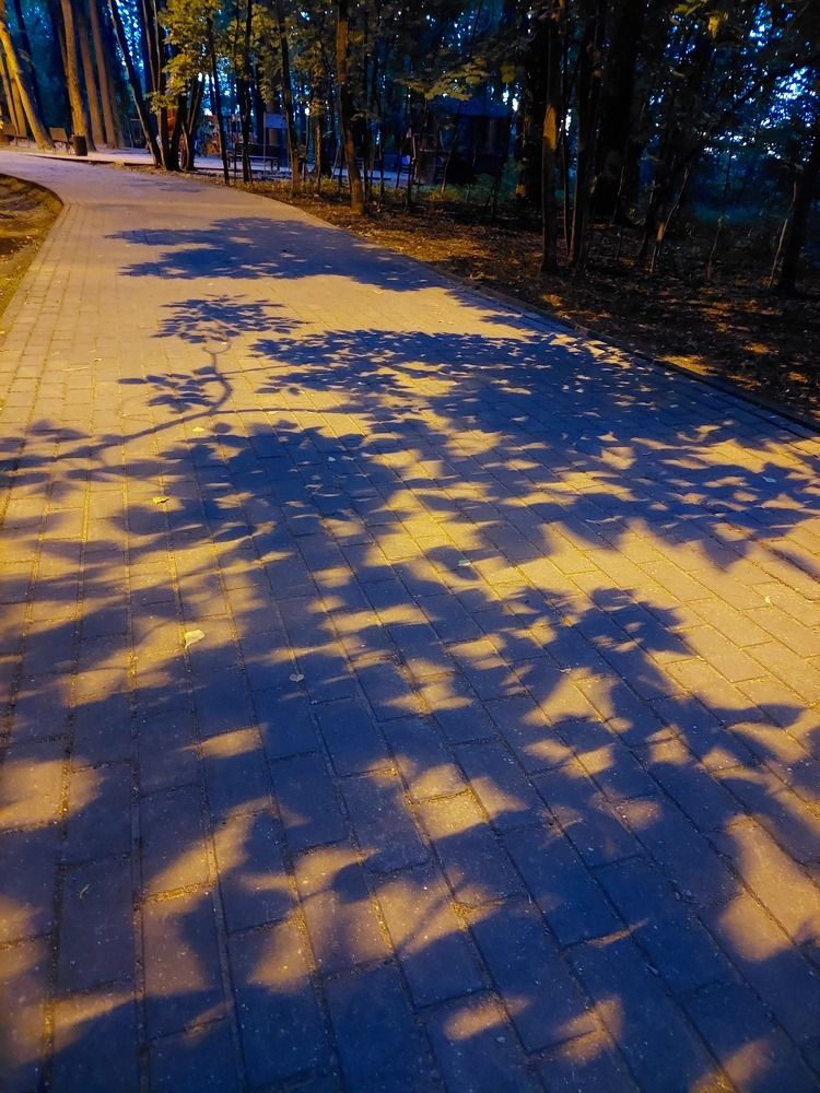 Photograph by Елена Тимченко