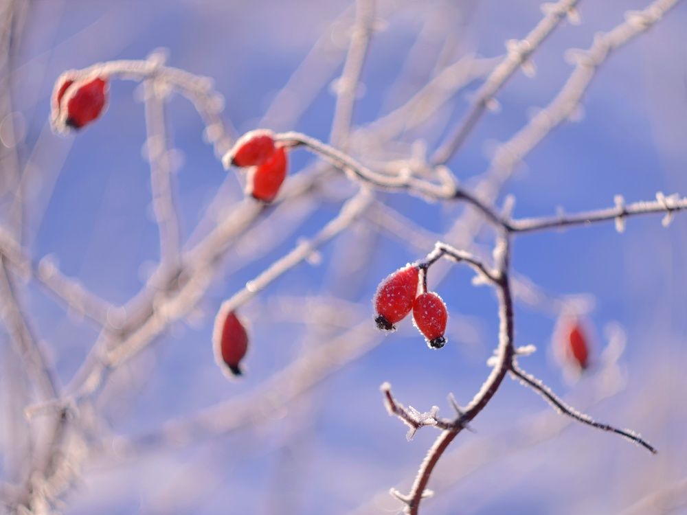 Photograph by Алеся Цеван