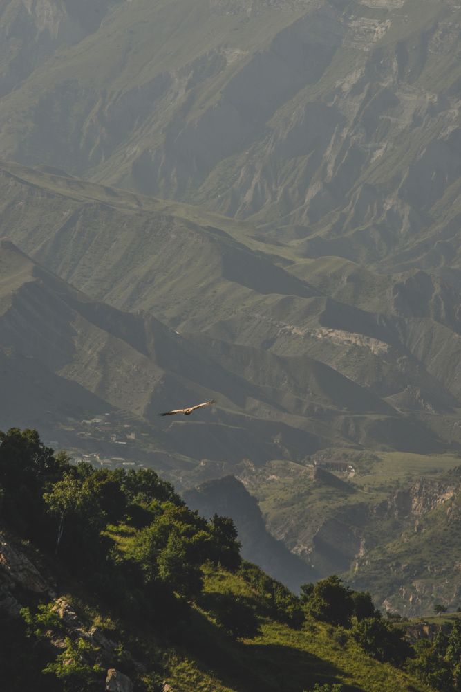 Photograph by Георгий Гончаровский