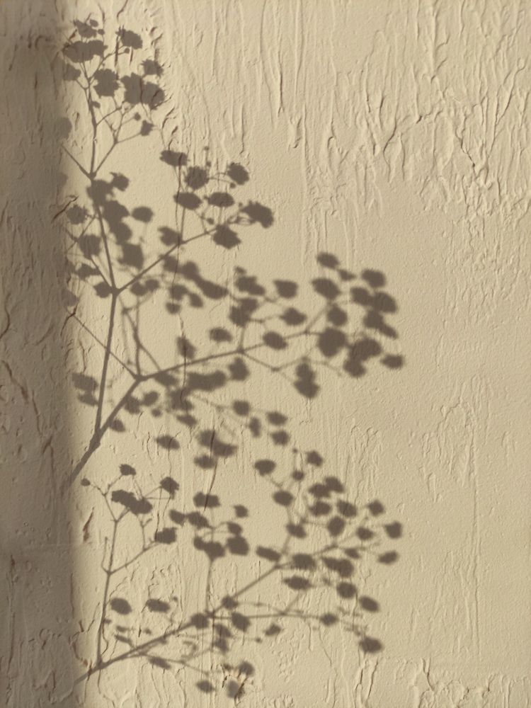 Photograph by Ирина Алексеевская