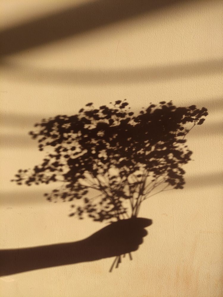 Photograph by Ирина Алексеевская