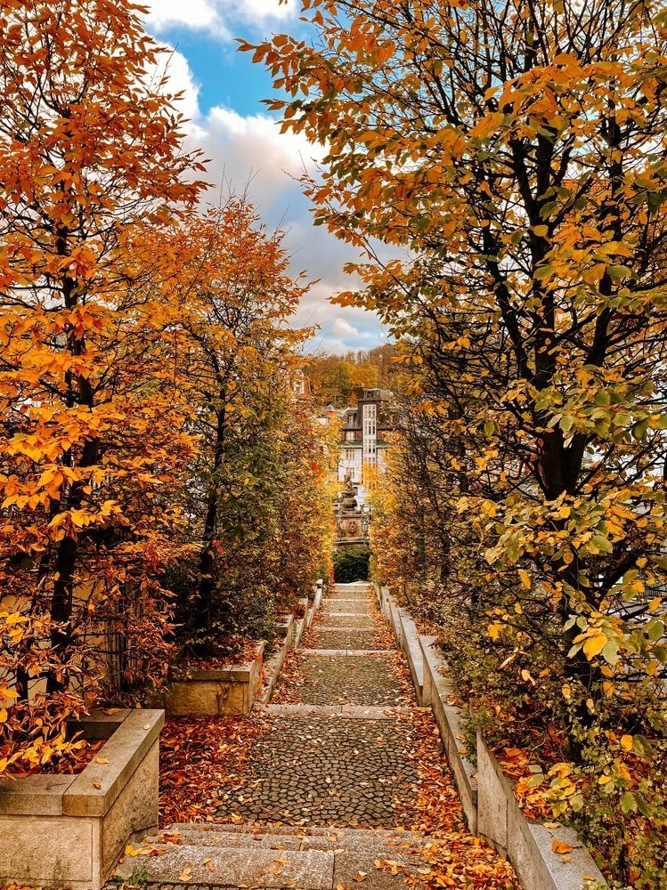 Photograph by Olga Tiurina