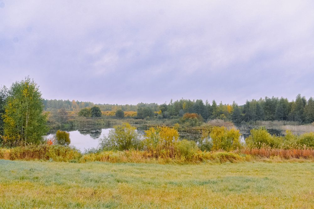 Photograph by Лариса Толкачёва