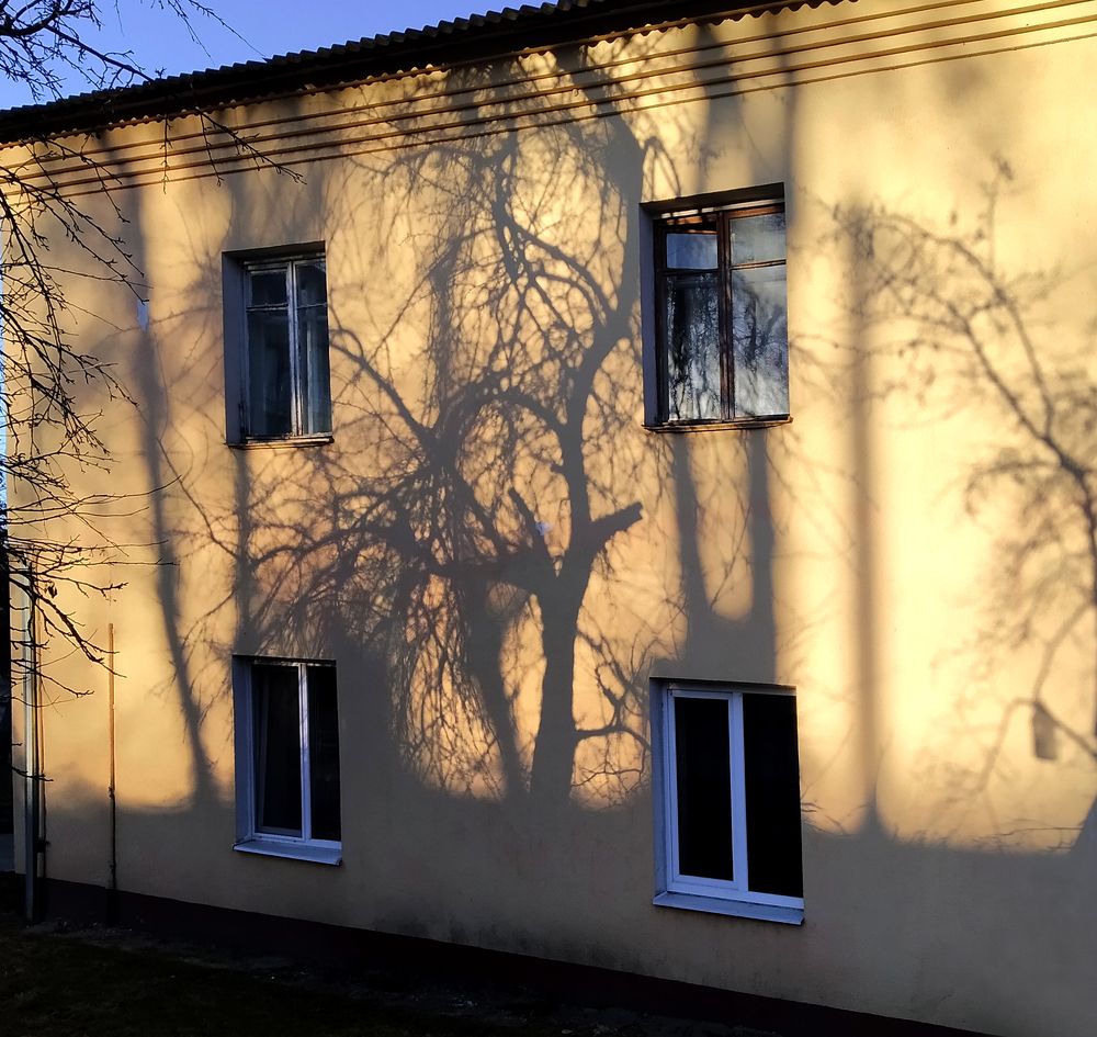 В ожидании весны