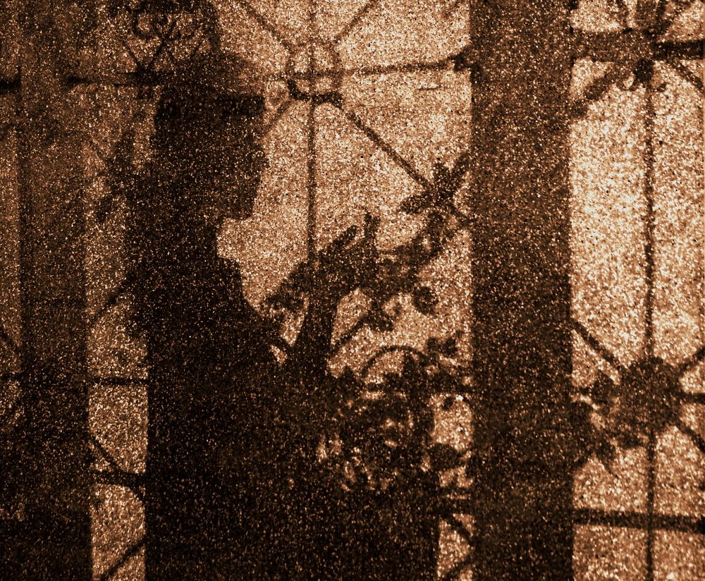 Photograph by Андрей Михайлин