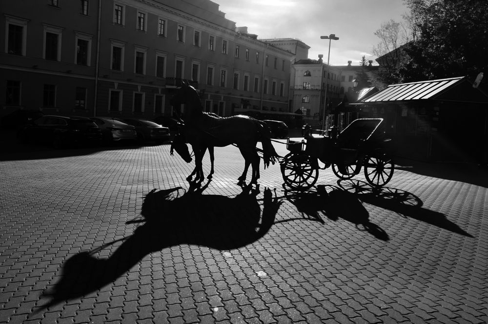 Ах вы, кони, мои кони