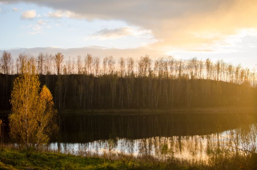 Photograph by Алина Морозова