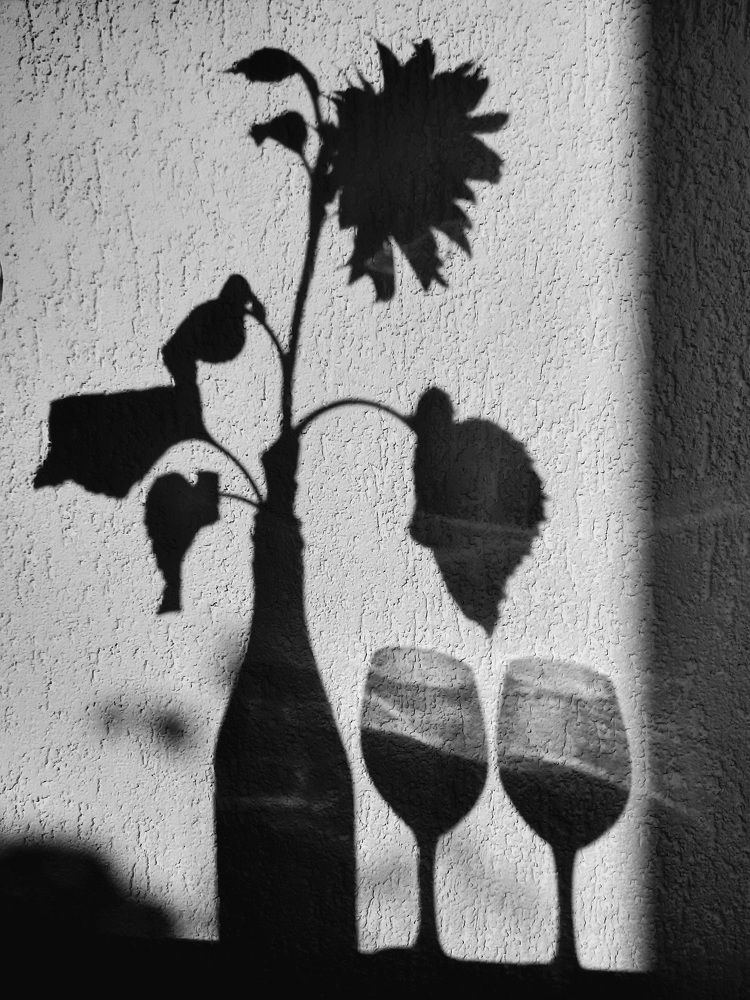 Фотография автора Лена Гром