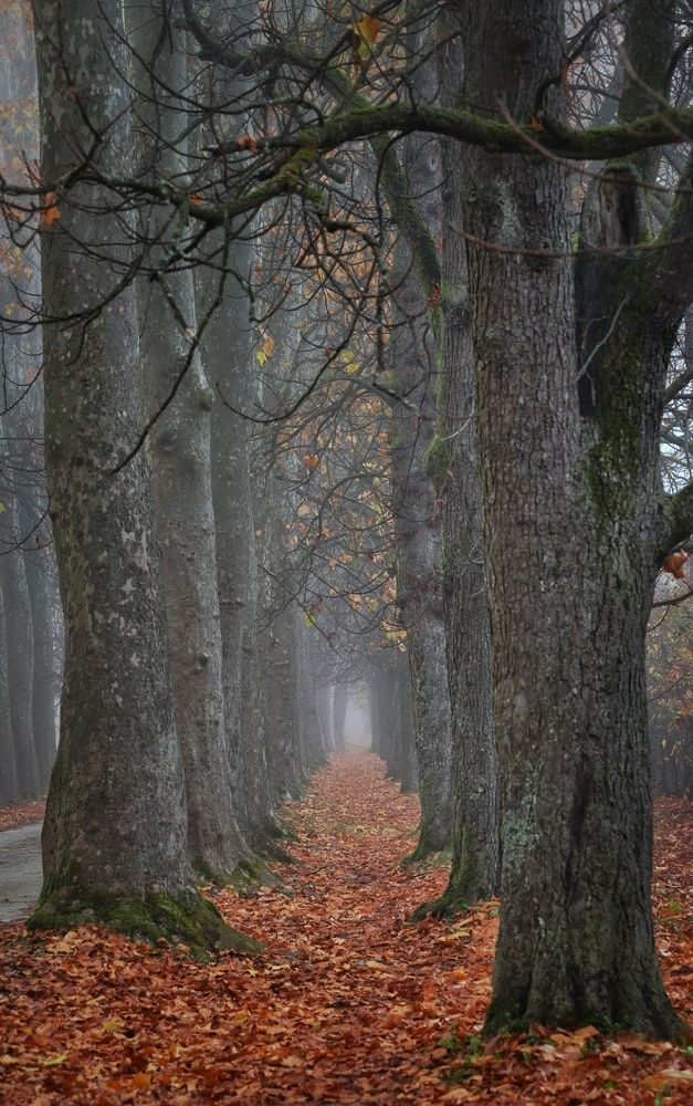 Photograph by Demir Pepic