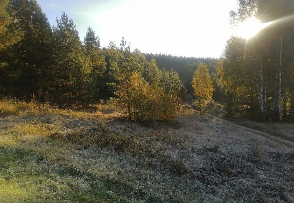 Фотография автора Виталий Дузь