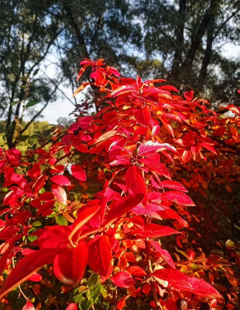 Photograph by Надежда