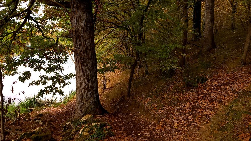 Фотография автора Toma Bervetsky