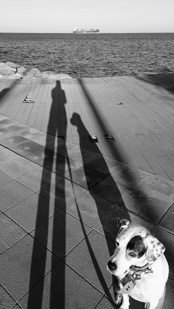 Photograph by Ирина Эрон