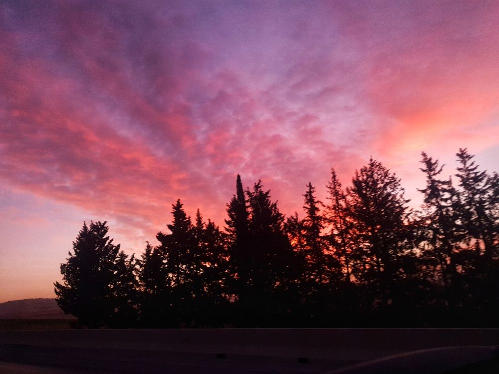 Photograph by Mirou behnas