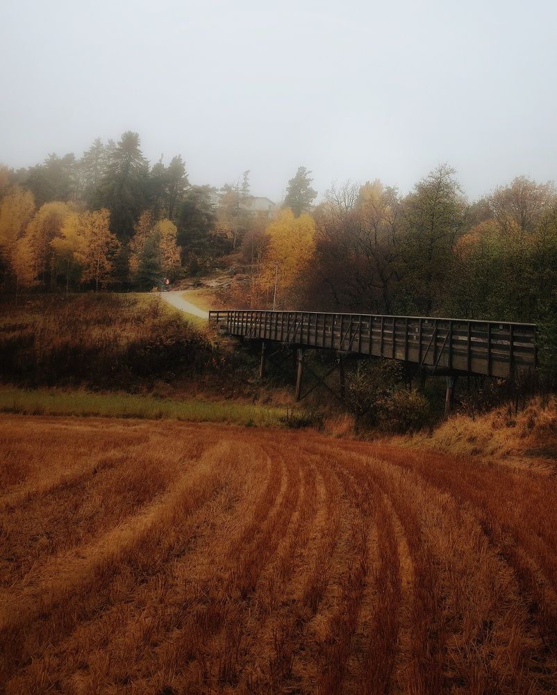 Фотография автора Alina Filimonova