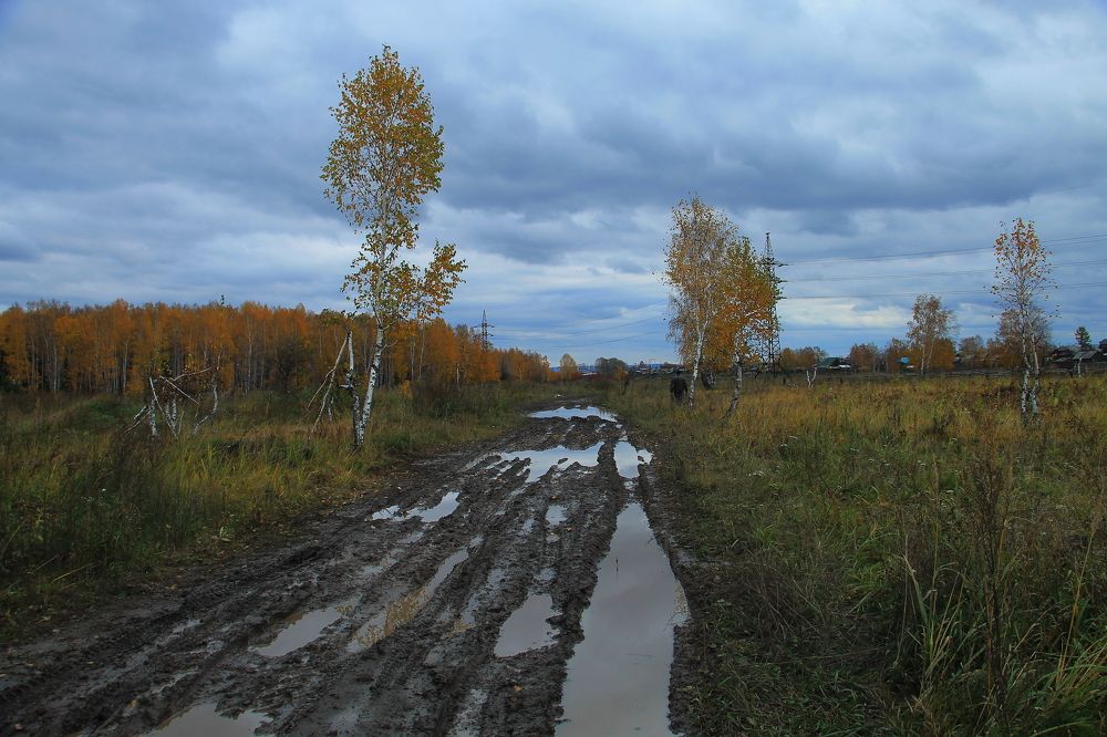 Photograph by Леунина Людмила