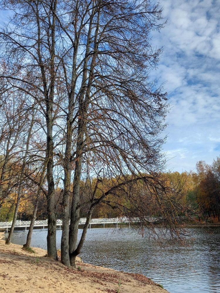 Photograph by Ольга