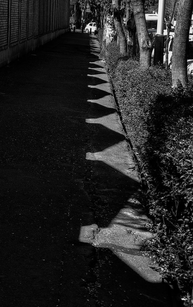 Фотография автора Mohammad Mohseni