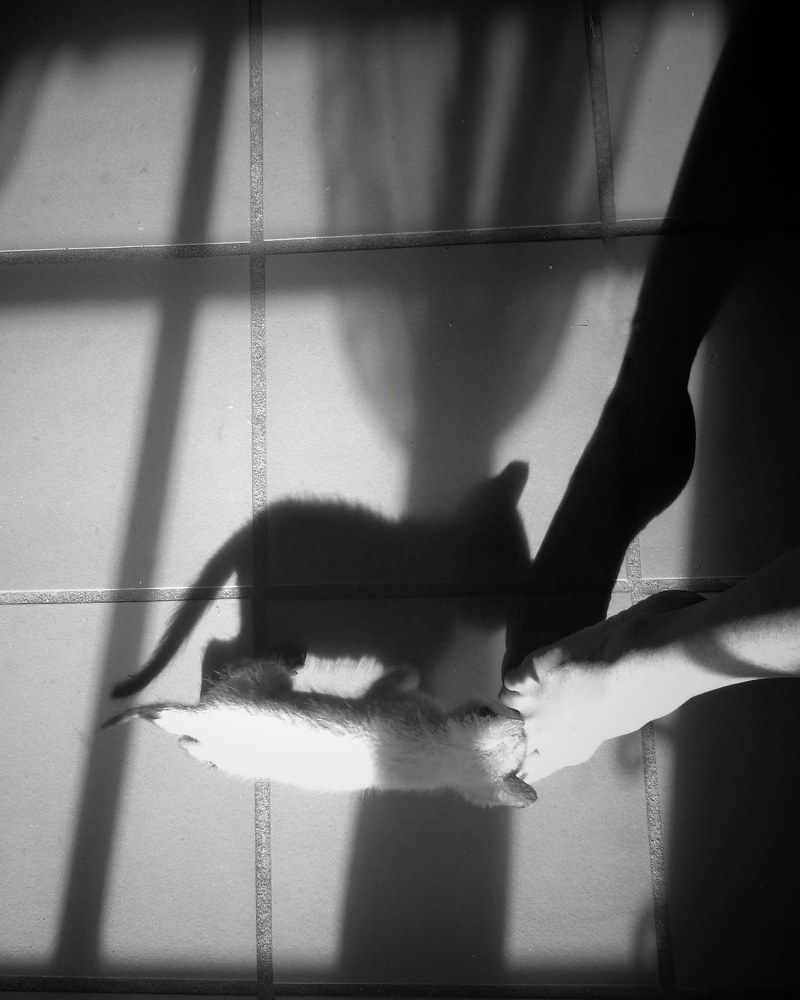 Photograph by Isabel Lopez